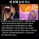 Ashtar: 송과선 재설정 이미지