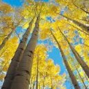 경희그린비한의원 이미지