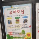 둔전초등학교(병설) 이미지