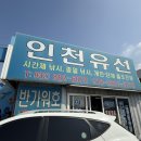 축항대로 | 인천 쭈꾸미낚시 반가워호 쭈꾸미 100마리 잡아온 후기