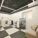 고양이미용실 나른하냥 이미지