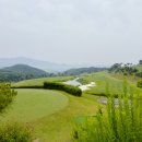 (주)골팡 이미지