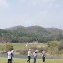 동부회원권거래소 이미지