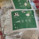 [경남/하동_체험] 치즈 만들기, 피자 만들기, 말먹이주기 체험이 가능한 해뜰목장