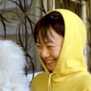 플란다스의개 이미지