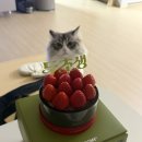 여주-월송-비소함-11 | [ 투썸플레이스 두초생 내돈내산 후기 🤎 ]