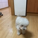 시드니펜션 이미지