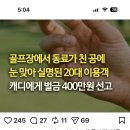 팀내 타구 사고에 대한 법원 판례 (전원 숙지) 이미지
