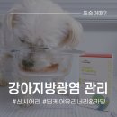 강아지요로결석 예방하려면? 신시어리 딥케어 유리너리&amp;카핑 후기
