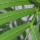 분당서울내과의원 이미지