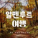 라도스투어