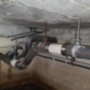 신창면 순천향로 이미지