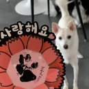 두유 개린이집 이미지