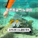 푸른 | 오키나와 스노쿨링 투어 추천 푸른동굴 스노클링 해변 스팟 후기