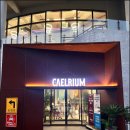 (주)리움 이미지