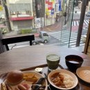 한국유도원 | [2024 봄 도쿄 여행] 4일차 - 라드리오 / 이케부쿠로 오토메로드 / Ginger&amp;Star Cafe / 귀국