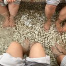 수안보온천길 이미지