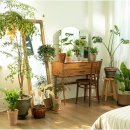 풍수지리 이미지