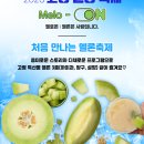 고령 멜빙축제 이미지
