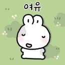 양양 바다뷰 이미지