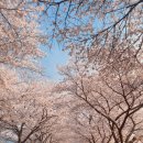 산꽃로 이미지
