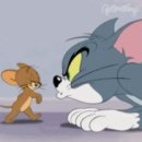 (주)사주나라 티스토리