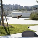 프랑소와펫 롯데일산점 이미지