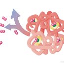 이천소망병원 이미지