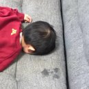 포돌이로 33 이미지