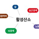 청담피트니스 이미지