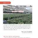 세련꽃농원 이미지