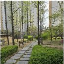 금호부동산중개 이미지