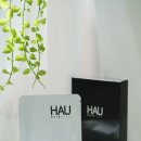 하우시지