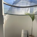 코르브(CORVE) 이미지