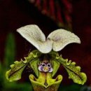 반포삼정공인중개사사무소 이미지