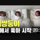 제인앤조이 | 임산부 주목, 세쌍둥이 쌍둥이 유튜버 추천 (뚜루댕,레이디제인,엔조이커플)