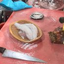속초회포장 | 속초 회포장 백승호횟집 후기 속초외옹치항 맛집