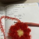 호빵이네 | [수세미 뜨기] 호빵과 꽃의 만남 🌸풍성한 꽃 호빵수세미