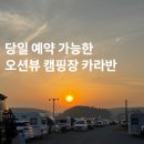청솔마트 | [공지] 태안 캠핑장 추천 | 예약 없이 가도 되는 태안 캠핑장, 카라반! 몽산포 청솔캠핑장 완벽 가이드