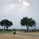 (주)피드백 이미지