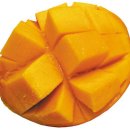 최명환농장 이미지