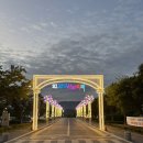 함양(대전) | [함양군 축제] 소문난 잔치에 볼거많은 2025 함양산삼축제 2일차 실제 방문 후기