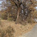 은행마을부동산공인중개사사무소 이미지