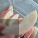 금호농협 | 금호농협 영천 아삭한복숭아 리뷰 - 여름철 필수 간식!