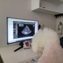 24시예담동물의료센터 이미지