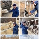 유하목장 이미지