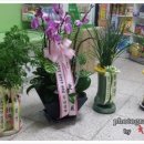 둥지약국 이미지