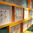 양평곤충박물관 이미지