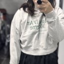 구제파는고양이