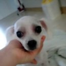 의령군청 이미지